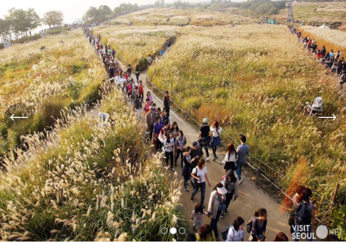 문화비축기지 : 하늘공원 옆 숨겨진 힐링 핫스팟 & 서울의 떠오르는 출사지!